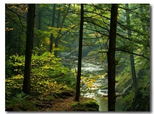 Texas Falls, Vermont, USA