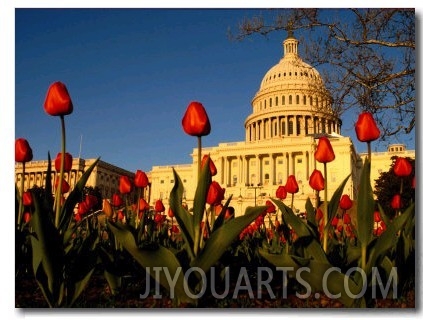 View of the Capitol Building