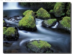 Water Below Wahclella Falls, Columbia River Gorge National Scenic Area, Oregon, USA