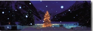 Tree with Lights and Chateau, Lake Louise, Alberta, Canada