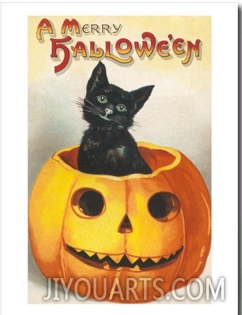 A Merry Halloween, Cat in Jack O