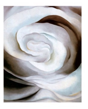 Abstraction White Rose, 1927