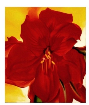 Red Amaryllis, 1937