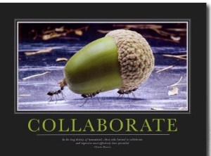 Collaborate