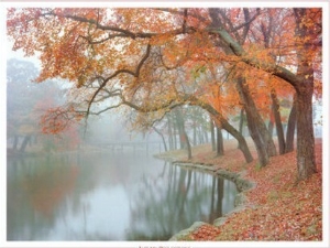 Autumn Reflections