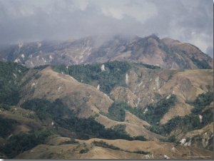 Landscape Showing Stripped Rain Forest in Costa Rica