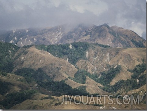 Landscape Showing Stripped Rain Forest in Costa Rica