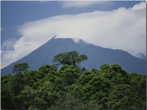 Rain Forest and Mountain Landscape, Costa Rica