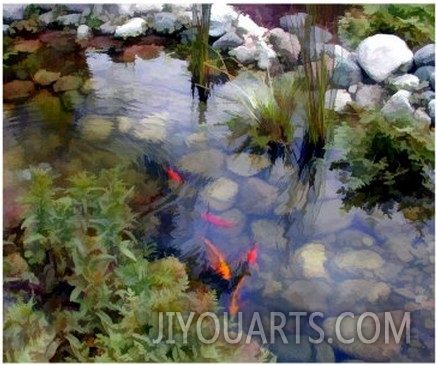 Garden Koi Pond