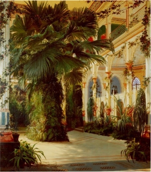 Interior of a Palm House