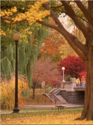 Public Gardens in Autumn, Boston, MA