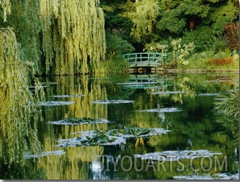 Subtle Light and Shade Reveal Impressionist Painter Claude Monets Self Designed Gardens at Giverny