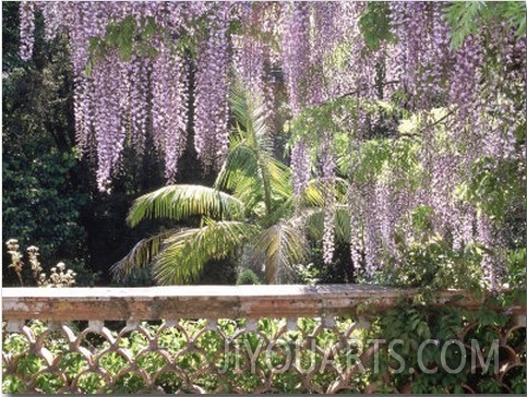 Mediterranean Garden, Lisbon, Portugal