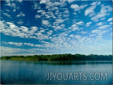 View of the Guyabeno Reserve Across the Aguarico River