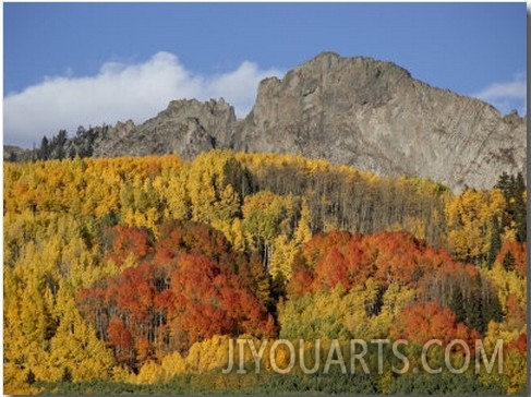 Dyke with Fall Colors, Grand Mesa Uncompahgre Gunnison National Forest, Colorado, Usa