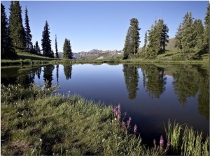 Paradise Divide, Grand Mesa Uncompahgre Gunnison National Forest, Colorado