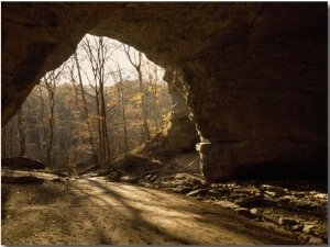 View Looking Out from the Mouth of a Cave Looking Out into a Forest