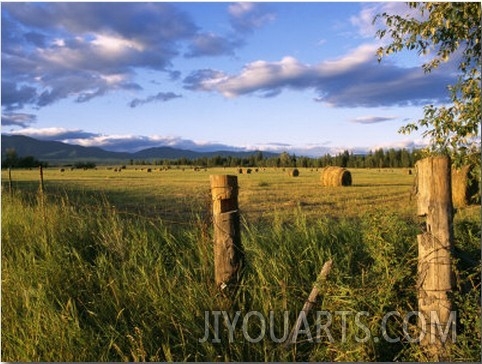 Hay Bales in Field, Whitefish, Montana, USA