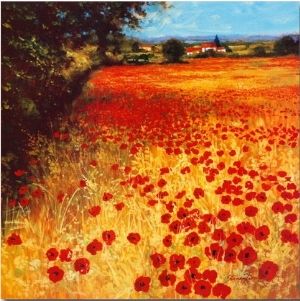 Field of Red and Gold
