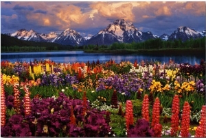 Grand Teton