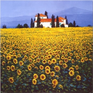 Sunflowers Field