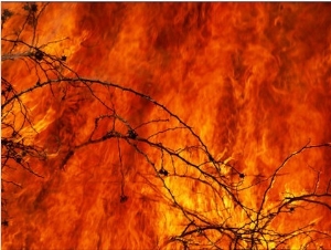 Fire Consumes the Prairie