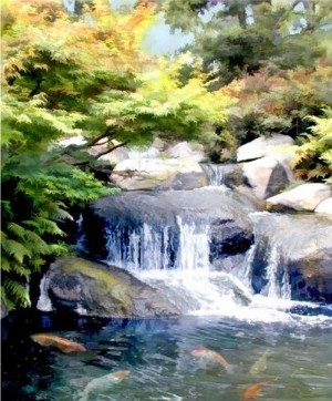 Garden Waterfall and Koi Pond