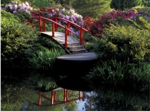 Moon Bridge and Pond in a Japanese Garden, Seattle, Washington, USA