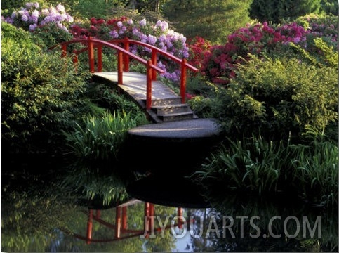 Moon Bridge and Pond in a Japanese Garden, Seattle, Washington, USA