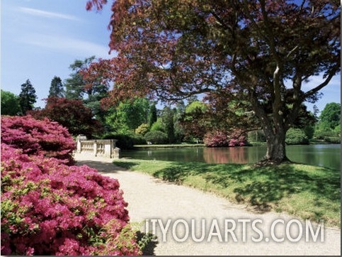 Path on Bank of Ten Foot Pond, Sheffield Park Garden, East Sussex, England, United Kingdom