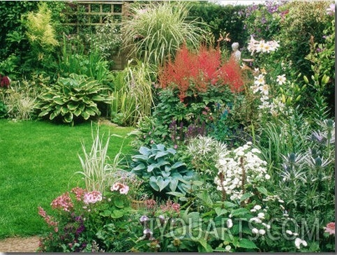 Small Suburban Garden Borders, Pond, Lawn, Mary Paynes Garden, Somerset
