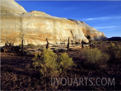 Desert Landscape with Sandstone Cliffs and Coral Bushes, Colorado Plateau, Paria Canyon Wilderness