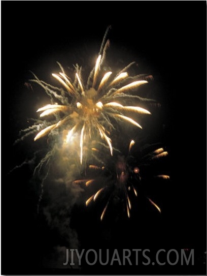 Celebratory Fireworks Lighting Up the Night Sky