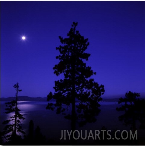 Full Moon in Night Sky over Trees and Lake Tahoe, Nevada, USA
