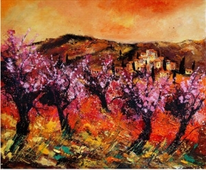Blooming Cherry Trees In Provence