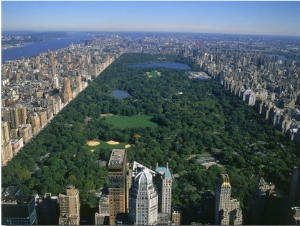 Aerial View of Central Park, NYC