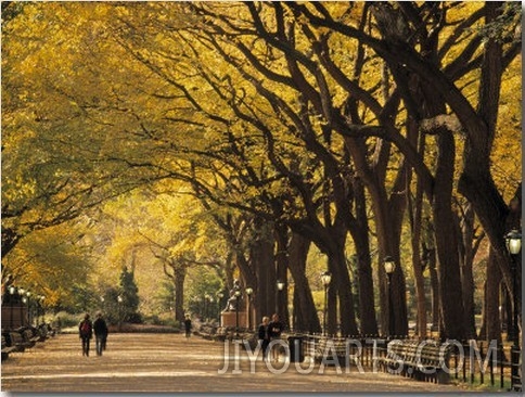 Central Park, New York City, Ny, USA