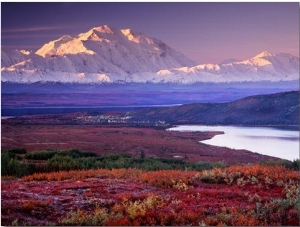 Denali National Park near Wonder Lake, Alaska, USA