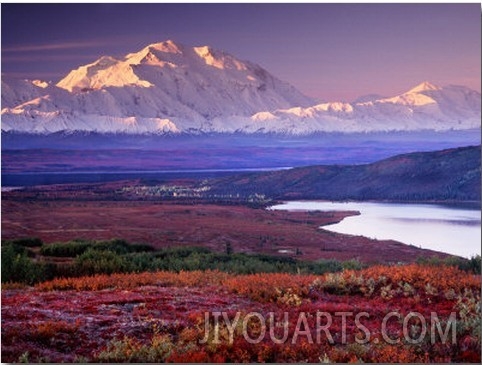 Denali National Park near Wonder Lake, Alaska, USA