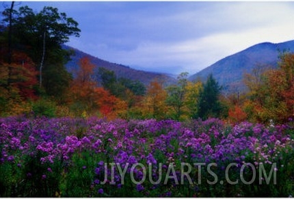 Fall Meadow at Twilight