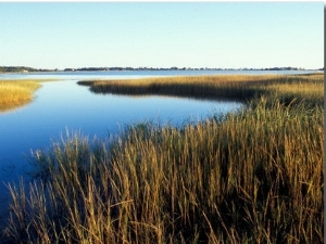 Tidal Creek Empties into Biddeford Pool, Anuszewski Property, Maine, USA