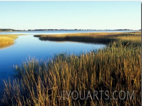 Tidal Creek Empties into Biddeford Pool, Anuszewski Property, Maine, USA