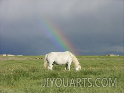 Tibetan Rainbow Horse