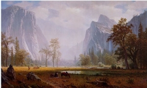 Looking Up the Yosemite Valley