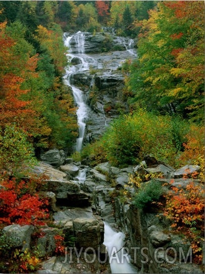 A Stream Runs Swiftly over Rocks