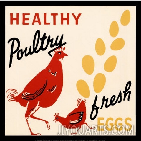 Healthy Poultry Fresh Eggs