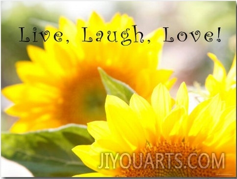 Live Laugh Love  Sunflower