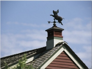 A Flying Pig Weather Vane on a Roof Top