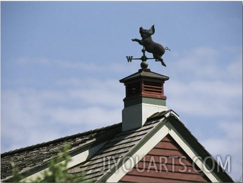 A Flying Pig Weather Vane on a Roof Top