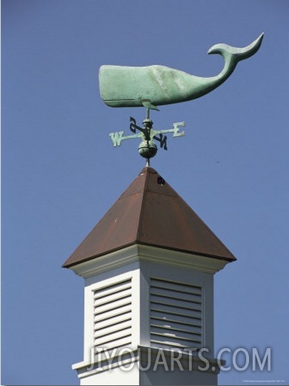 A Sperm Whale Weather Vane on a Roof Top